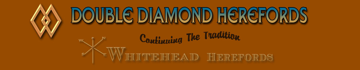 Double Diamond Herefords